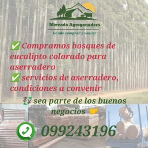 Compramos bosques y Servicios de aserradero